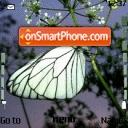 Скриншот темы Butterfly 125