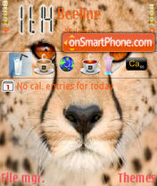 Cheetah Face tema screenshot