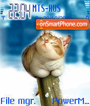 Winter Cat Theme-Screenshot