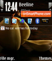 Onion D3 E61 Theme-Screenshot