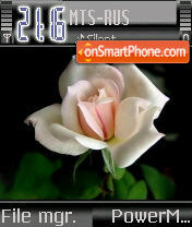 Pink Rose tema screenshot