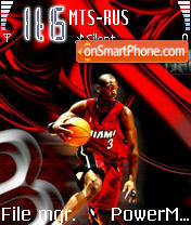 Basketball Dwade theme screenshot