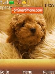 Lovely Dog tema screenshot