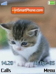 Скриншот темы Kitten Cute