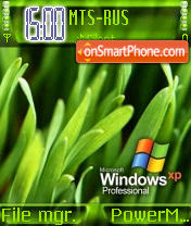 Grass Windows es el tema de pantalla