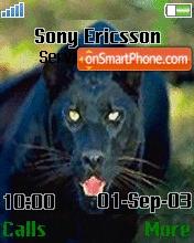 Panter tema screenshot