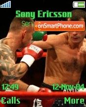 Joe Calzaghe theme screenshot