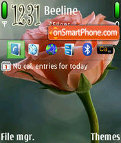 Pink Rose tema screenshot