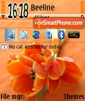 Orange Flowers 01 tema screenshot