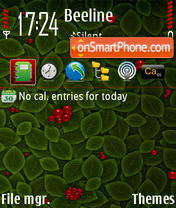 Cherries 01 Theme-Screenshot