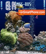 Aquarium Nseries tema screenshot