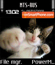 Animated Boxing Cat S60v2 tema screenshot