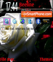 Wite roze in blask v1 tema screenshot