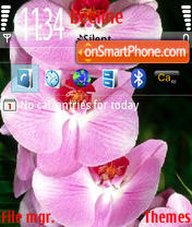 Orchids@standart es el tema de pantalla