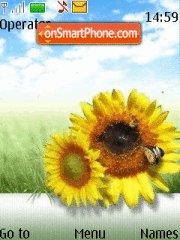 Скриншот темы Sunflower 02