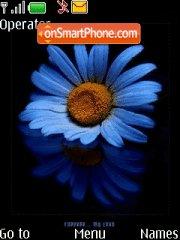 Blue Camomile Theme-Screenshot