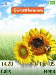 Sunflowers tema screenshot