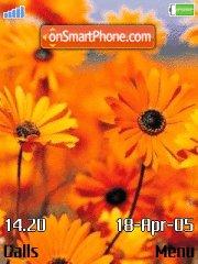 Sunflower tema screenshot