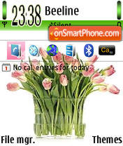 Tulips 01 tema screenshot