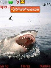 Скриншот темы Great White Sharks!