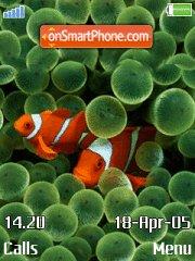 Скриншот темы Clown Fishes