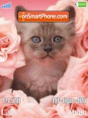 Sweet Kitty tema screenshot