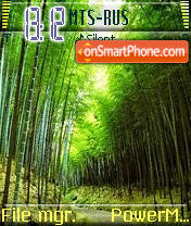 Bamboo Forest tema screenshot