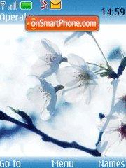 White Blue Flowers tema screenshot