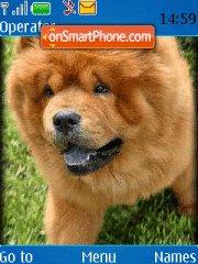 Chow-Chow theme screenshot