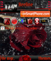 Rose animated s60v3 tema screenshot