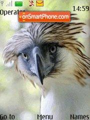 Philippine Eagle theme screenshot