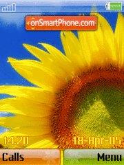 Скриншот темы Sunflower 03