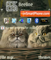 Cats 11 theme screenshot