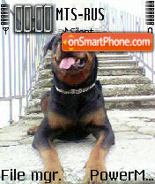 Doggy 03 tema screenshot