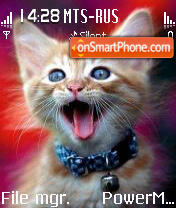 Cat 10 theme screenshot