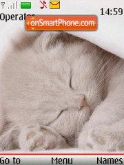 Kitten Sleep es el tema de pantalla