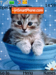 Kitten In theme screenshot