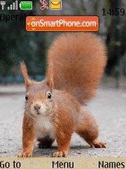 Squirrel theme screenshot