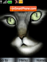 Скриншот темы Black Cat Animated