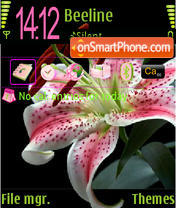 Скриншот темы Black Pink Lily