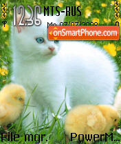 Cat n Chicks tema screenshot