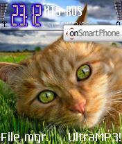 Cat tema screenshot