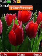 Red Tulips tema screenshot