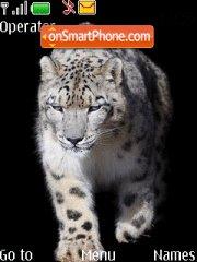 Snow Leopard in Black tema screenshot