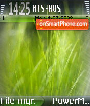 Скриншот темы Grass Vista