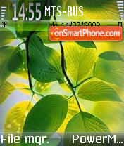 Скриншот темы Vista Leaf