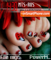 Ladybug Toes es el tema de pantalla