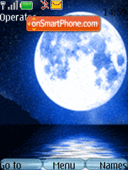 Moon and dolphin Animated tema screenshot