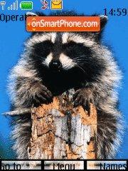 Raccoon tema screenshot