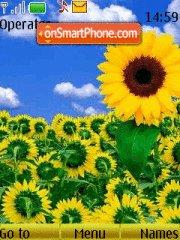 Sunflower tema screenshot